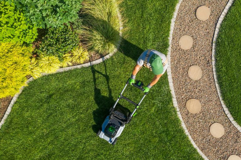 tendances aménagement jardin