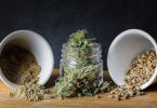 graines cannabis autofloraison