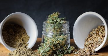 graines cannabis autofloraison
