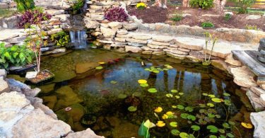 bassin agrément jardin