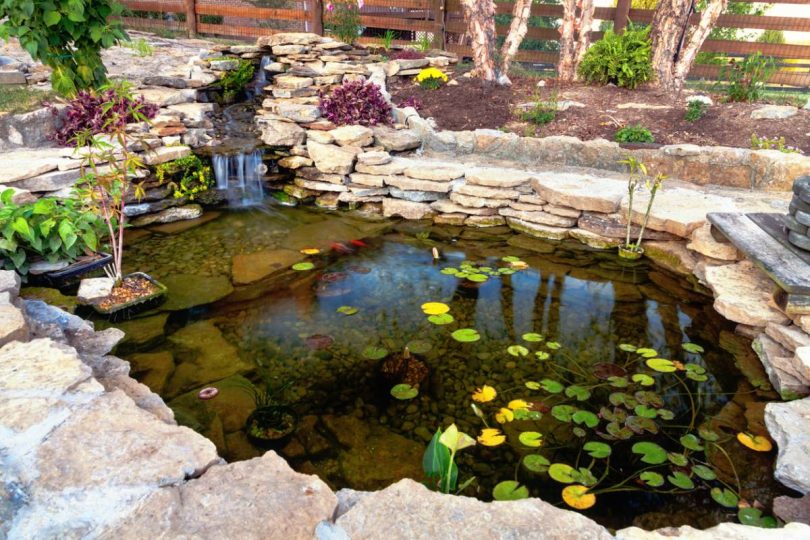 bassin agrément jardin