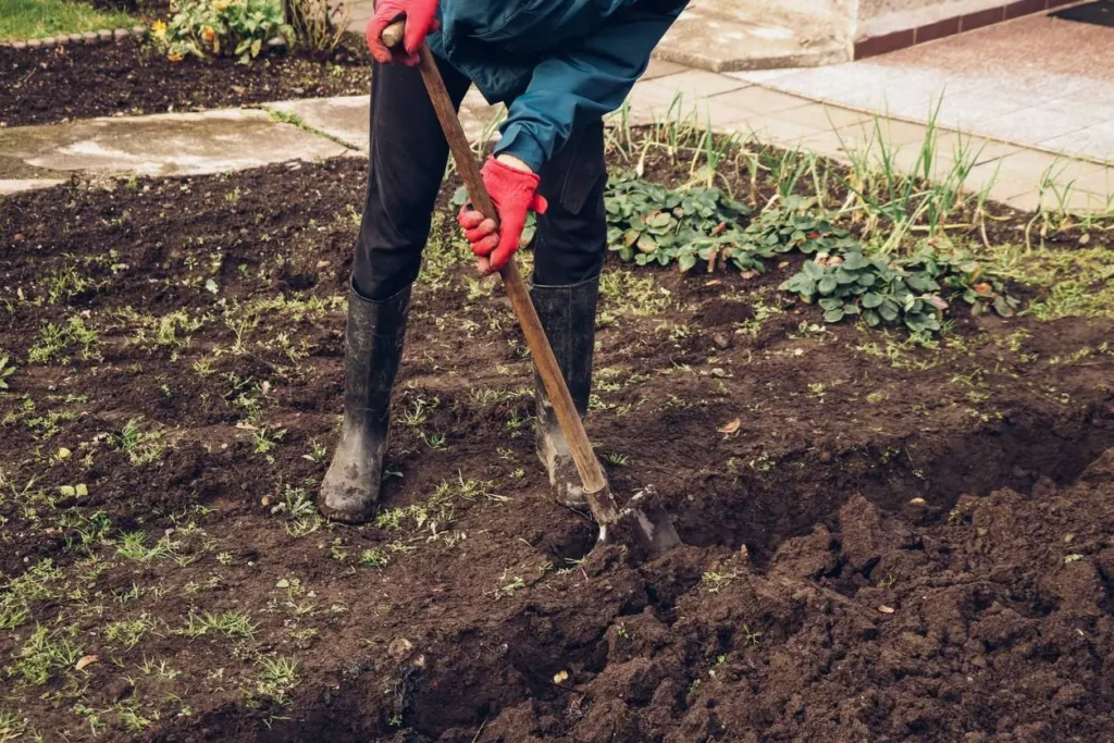 jardinage, grelinette, bêcher