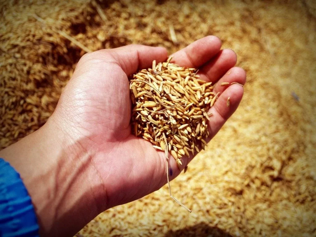 agriculture